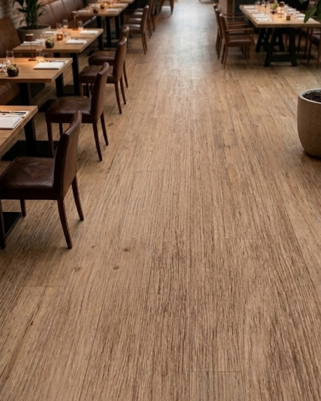 Almond Oak SPC flooring installed in a modern restaurant interior